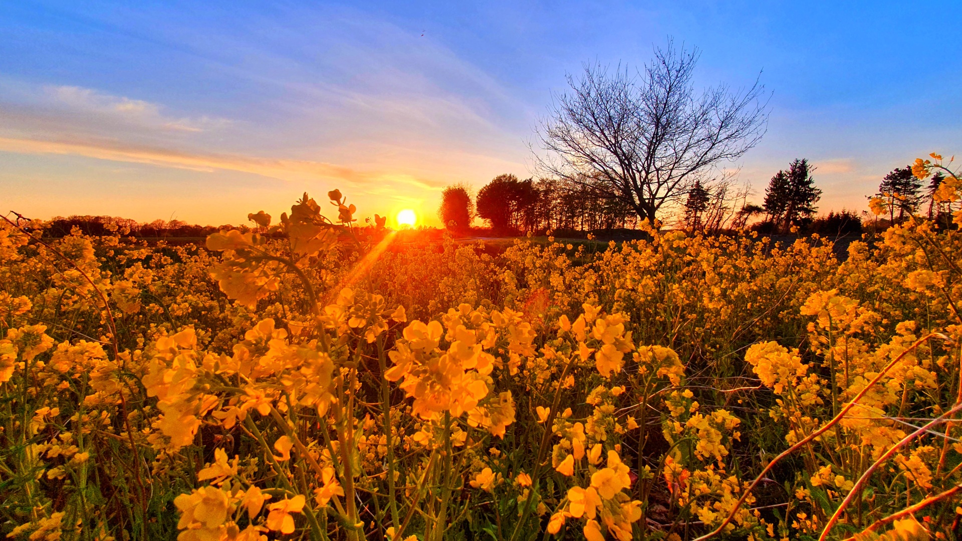 Sonnenaufgang